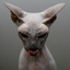 Avatar for Nasenpopel