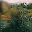 Attention - Single