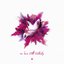 In Love with Nobody