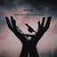 Why Don't the Birds Sing