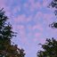 From Here - Single