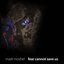 Fear Cannot Save Us