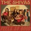 The Shivas - Feels So Good // Feels So Bad album artwork