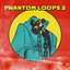 Phantom Loops 2