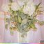 Shopping - Single