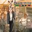 Chihuahua Hat - EP