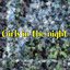 Girls in the Night