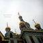 Orthodoxy