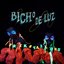 Bicho de Luz