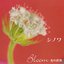 Bloom 光の世界