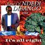 Best Of Ndedi Dibango Vol.2