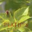 Platipus Records Volume Three