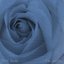 The Garden - Single