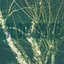 Slow Daze - Single