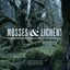 Mosses & Lichens