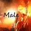 Male - Single