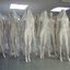 dead_mall