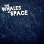 The Whales of Space