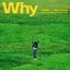Why (feat. Hoody) - Single