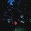 ANYWHERE HERE IS PERFECT (DELUXE)
