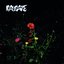 RAY JANE