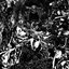 Cathedral Of Plagues