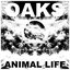 Animal Life