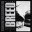 Breed (feat. REEBZ)