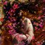 Papillon - Single