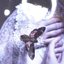 Dream Florescence