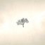 In Memories (Extended)