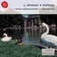 J. Strauss: Waltzes