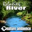 Relaxing River (Nature Sounds)