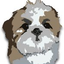 Avatar de ChoonyFish