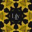 Lily - Single