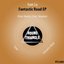 Fantastic Road EP