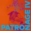 Patronage IV