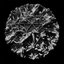 Chromosome - Single