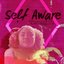 Self Aware