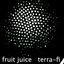 Terra-Fi