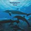 Dolphins Talk To You