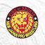 New Japan Pro Wrestling Entrance Theme