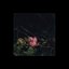Sex Fortress - Single