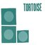 Tortoise