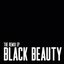 Black Beauty