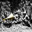 Piramidi: Música Do Mundo