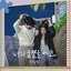 Family by Choice (Original Television Soundtrack) Pt. 6 - Single