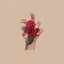 Divertido - Single