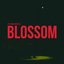 Blossom - Single