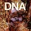 A Taste of DNA